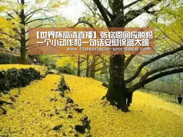 【世界杯高清直播】张铭恩回应脱粉 一个小动作和一句话安慰徐璐太暖了(图1) 世界杯电竞平台