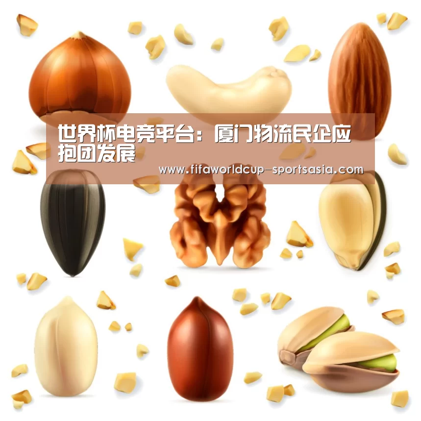 世界杯电竞平台:厦门物流民企应抱团发展(图2) 世界杯足球