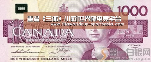 世界杯最新地址
