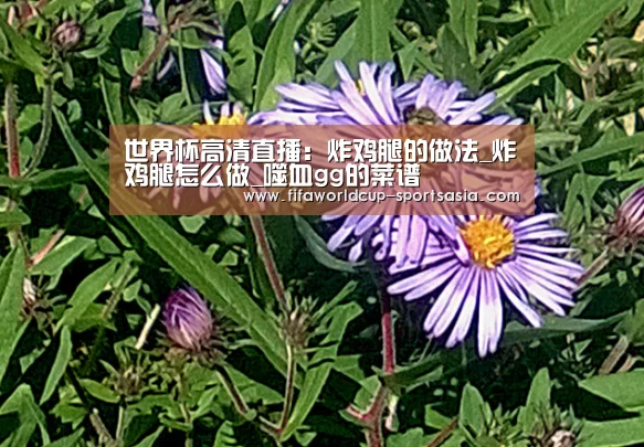 世界杯高清直播:炸鸡腿的做法_炸鸡腿怎么做_噬血gg的菜谱(图2) 世界杯高清直播