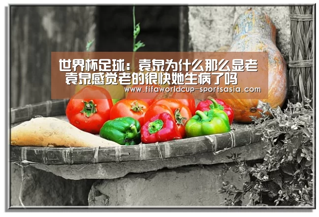 世界杯足球