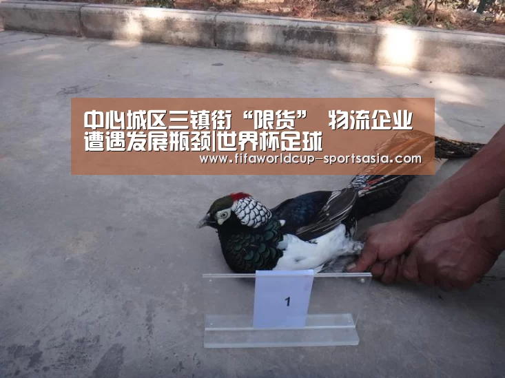 中心城区三镇街“限货” 物流企业遭遇发展瓶颈|世界杯足球(图3) 世界杯高清直播
