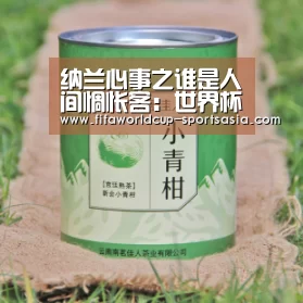世界杯最新地址